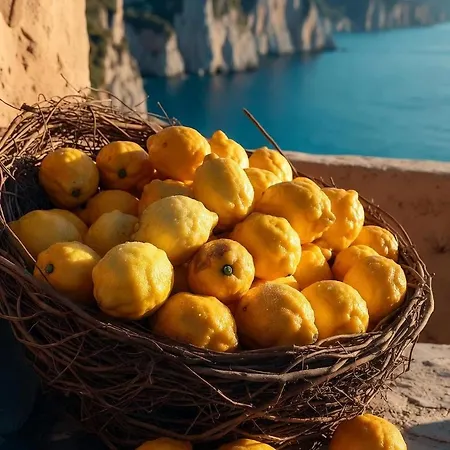 Luxe Sur 4* Σορέντο